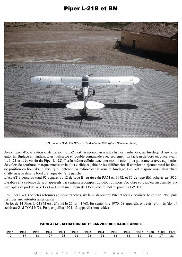 Piper L-21B_000003.jpg